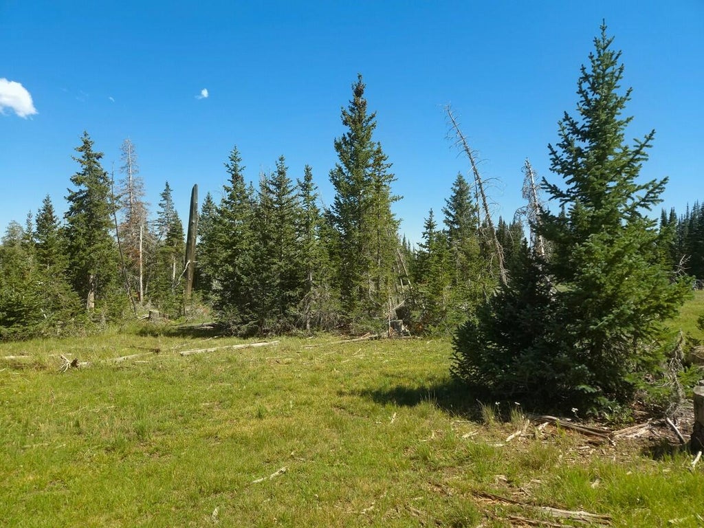 Photo of 2397 E Rainbow LN, Brian Head, UT 84719 (MLS # 117456)