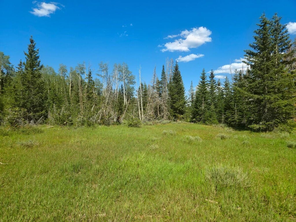 Photo of 2397 E Rainbow LN, Brian Head, UT 84719 (MLS # 117456)