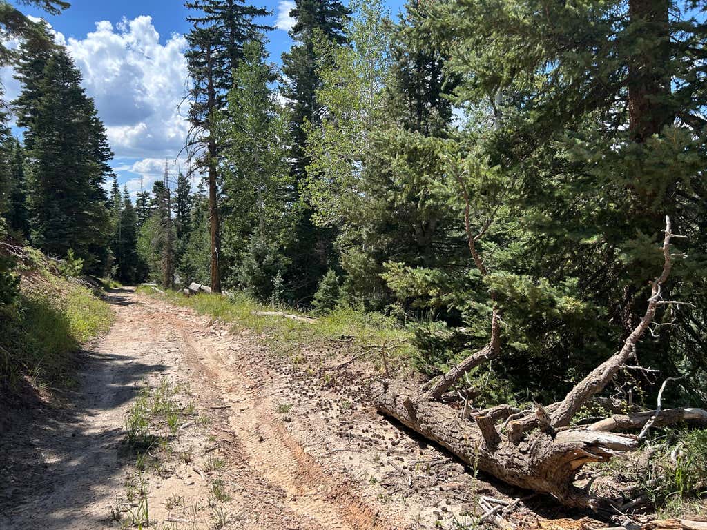 Photo of 6380 W Kodiak DR, Duck Creek Village, UT 84762 (MLS # 117349)