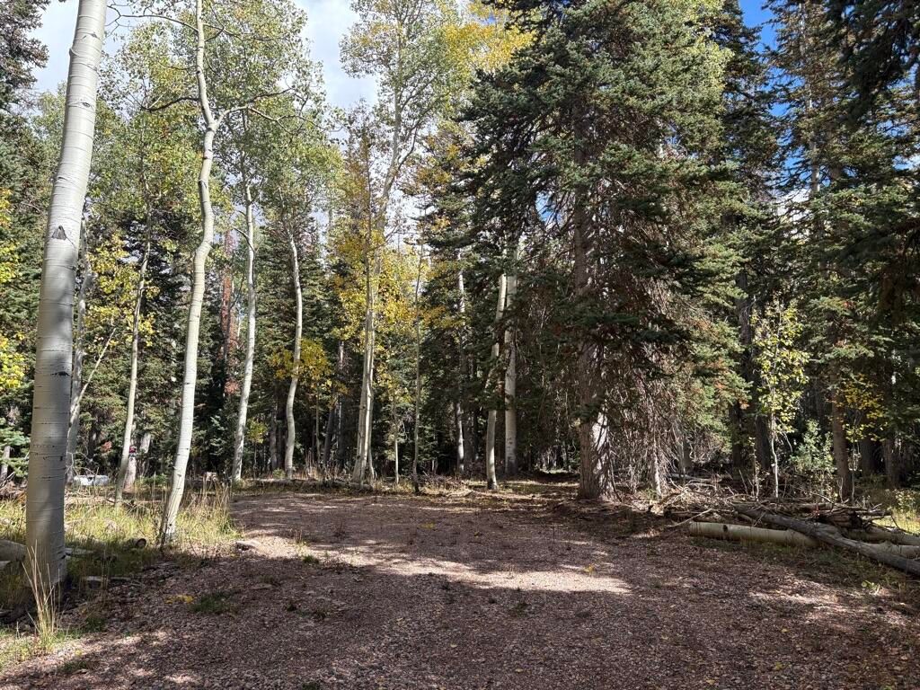 Photo of 998 N Dry Lakes Rd Rd #(GMA Un2 Blk D 13), Brian Head, UT 84719 (MLS # 113290)