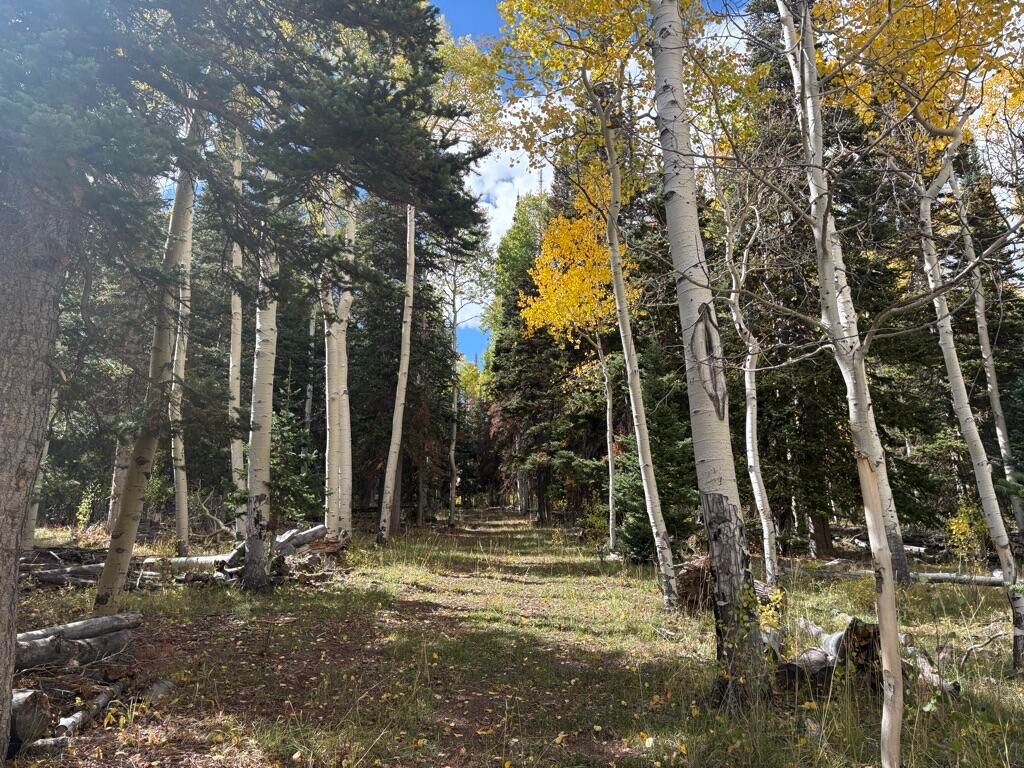 Photo of 998 N Dry Lakes Rd Rd #(GMA Un2 Blk D 13), Brian Head, UT 84719 (MLS # 113290)