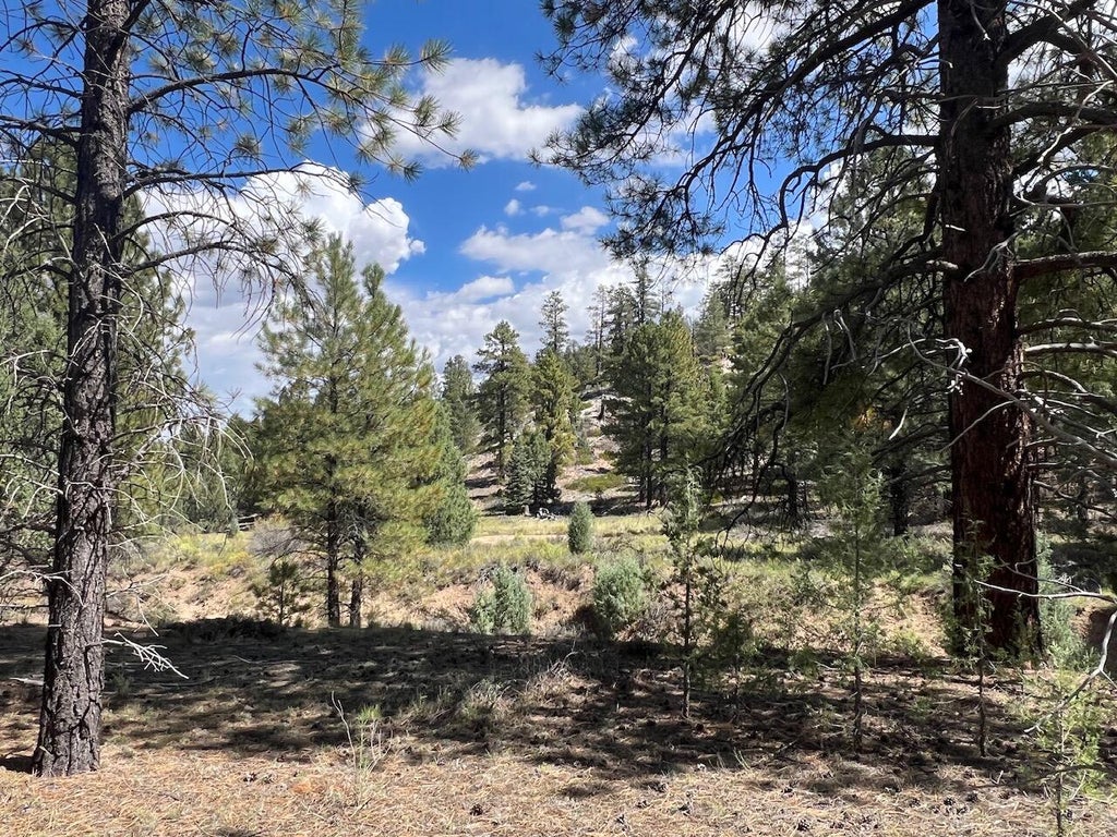 Photo of 11 Elk Ridge Estates Phase 6, Alton, UT 84710 (MLS # 118031)