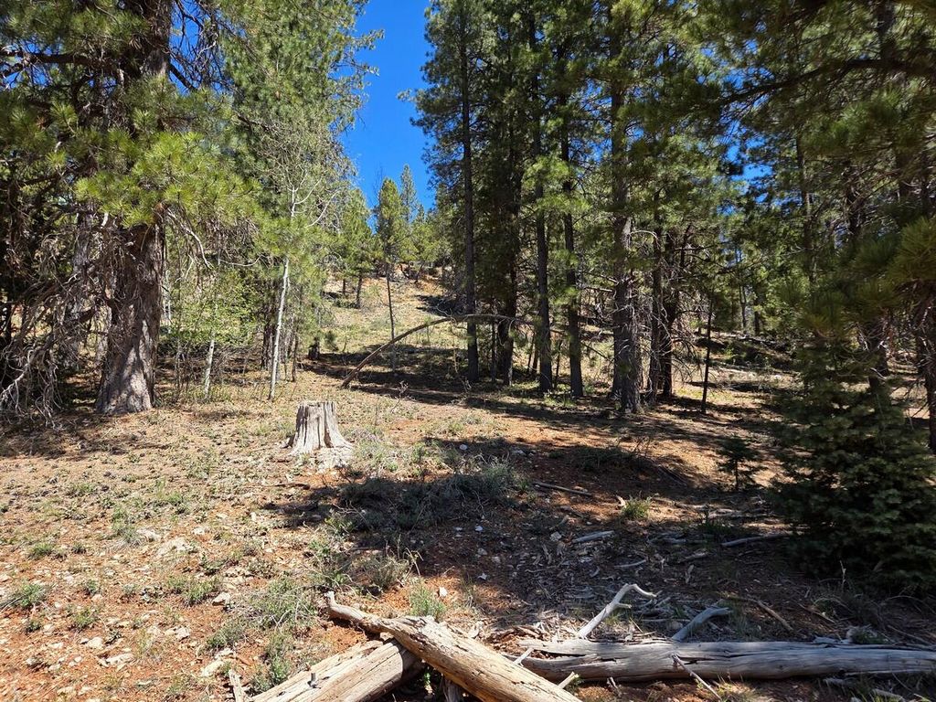 Photo of 2175 E Sleepy Meadow LN, Duck Creek Village, UT 84762 (MLS # 116199)