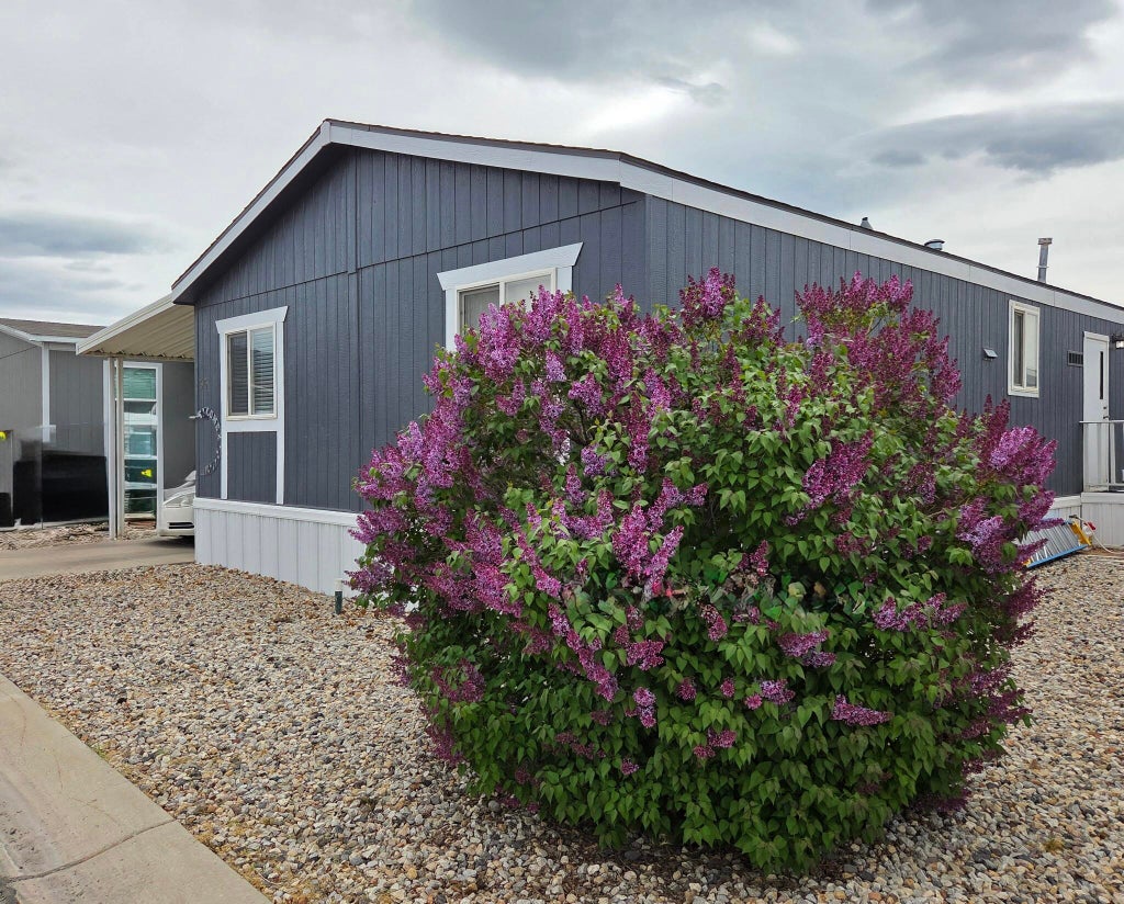 Photo of 827 W 1175 N #56, Cedar City, UT 84721 (MLS # 110859)