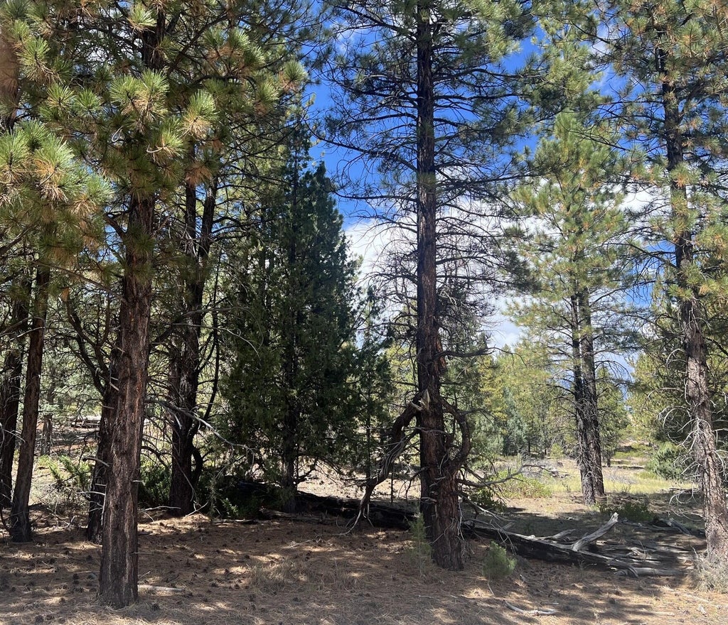 Photo of 8 Elk Ridge Estates Phase 6, Alton, UT 84710 (MLS # 118028)