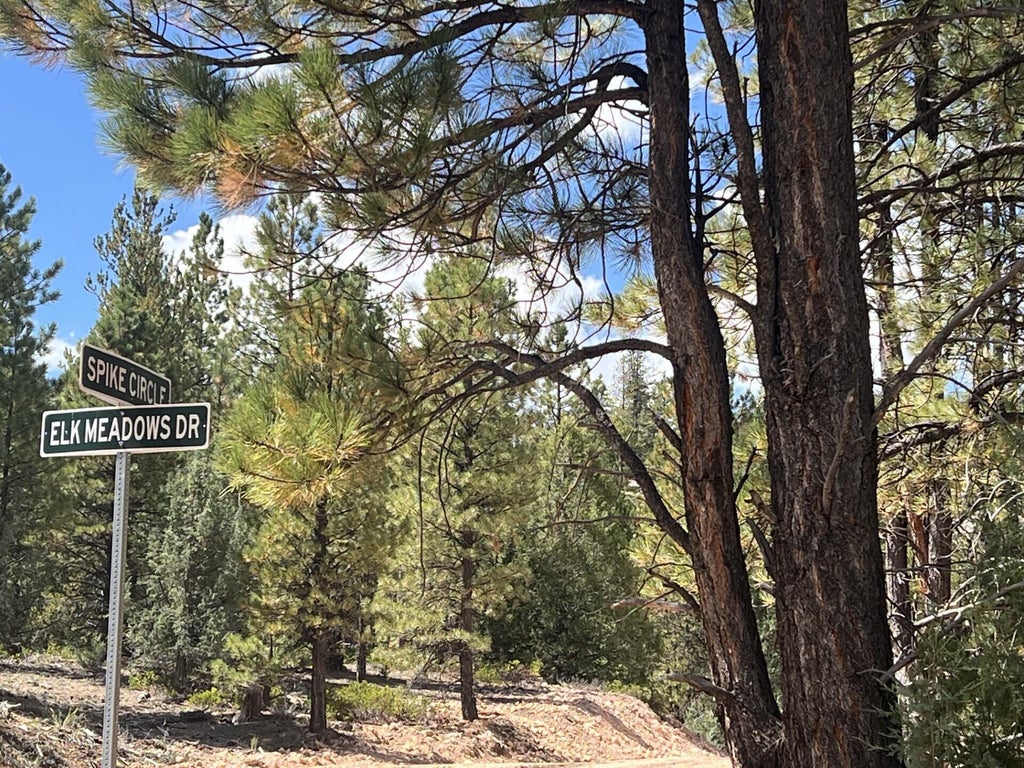 Photo of 8 Elk Ridge Estates Phase 6, Alton, UT 84710 (MLS # 118028)