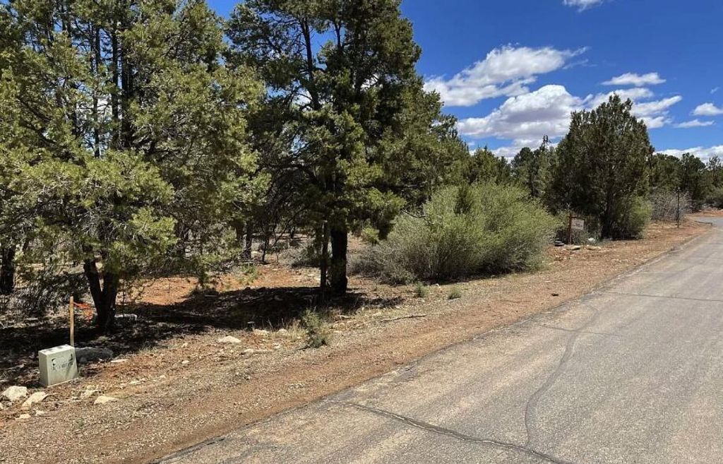 Photo of 793 S Zion Ridge DR, Orderville, UT 84758 (MLS # 113537)