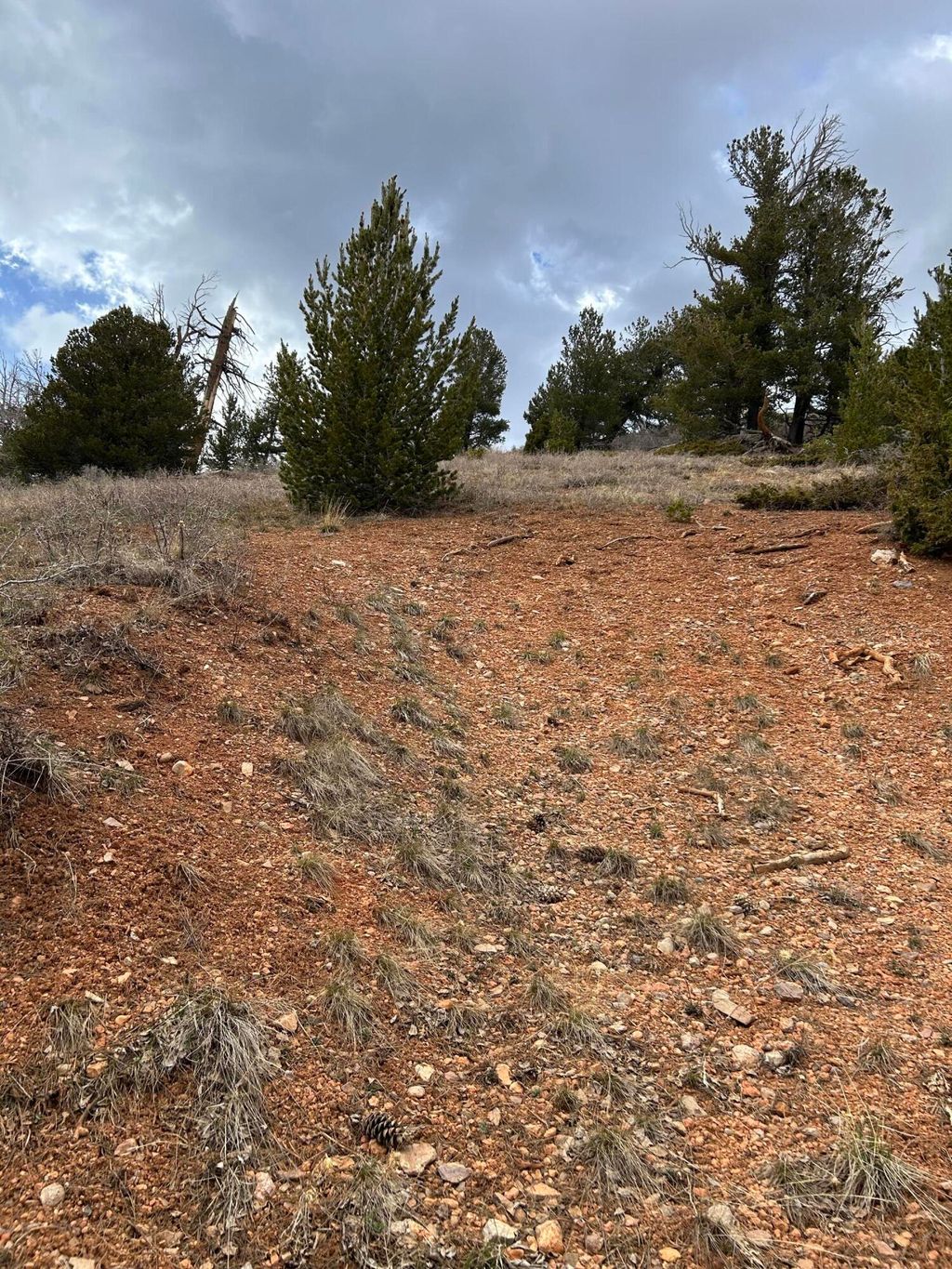 Photo of 524 W Ski View DR, Brian Head, UT 84719 (MLS # 111124)