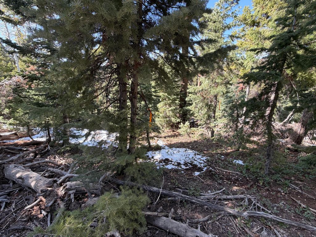 Photo of 1015 W Big Horn CIR, Duck Creek Village, UT 84762 (MLS # 115884)