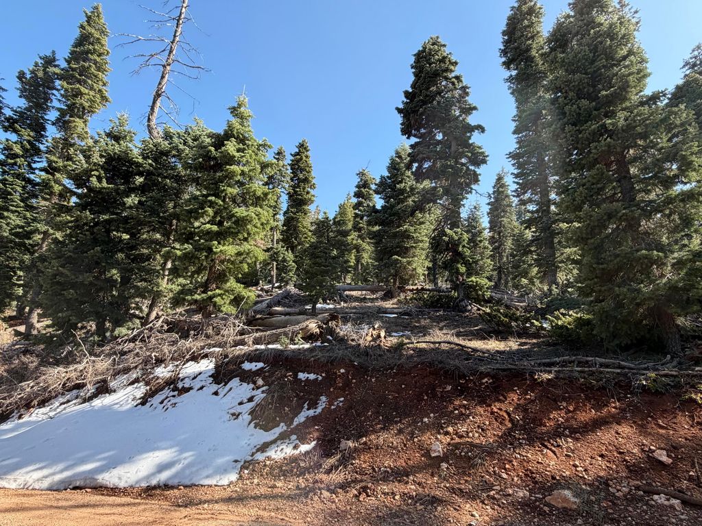 Photo of 1015 W Big Horn CIR, Duck Creek Village, UT 84762 (MLS # 115884)