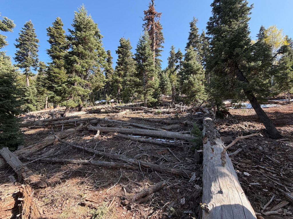 Photo of 1015 W Big Horn CIR, Duck Creek Village, UT 84762 (MLS # 115884)