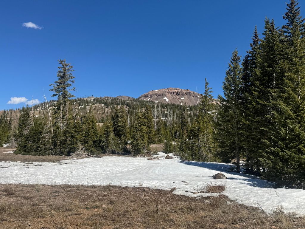 Photo of 167 W Zion View DR #West Zion View lot 2, Brian Head, UT 84719 (MLS # 115566)
