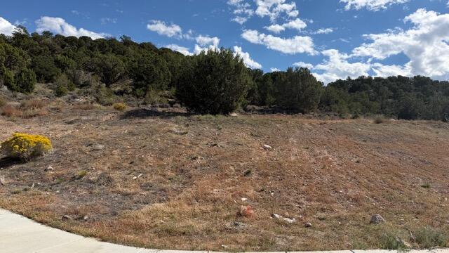 Photo of 3503 W Sevy ST, Cedar City, UT 84720 (MLS # 118481)