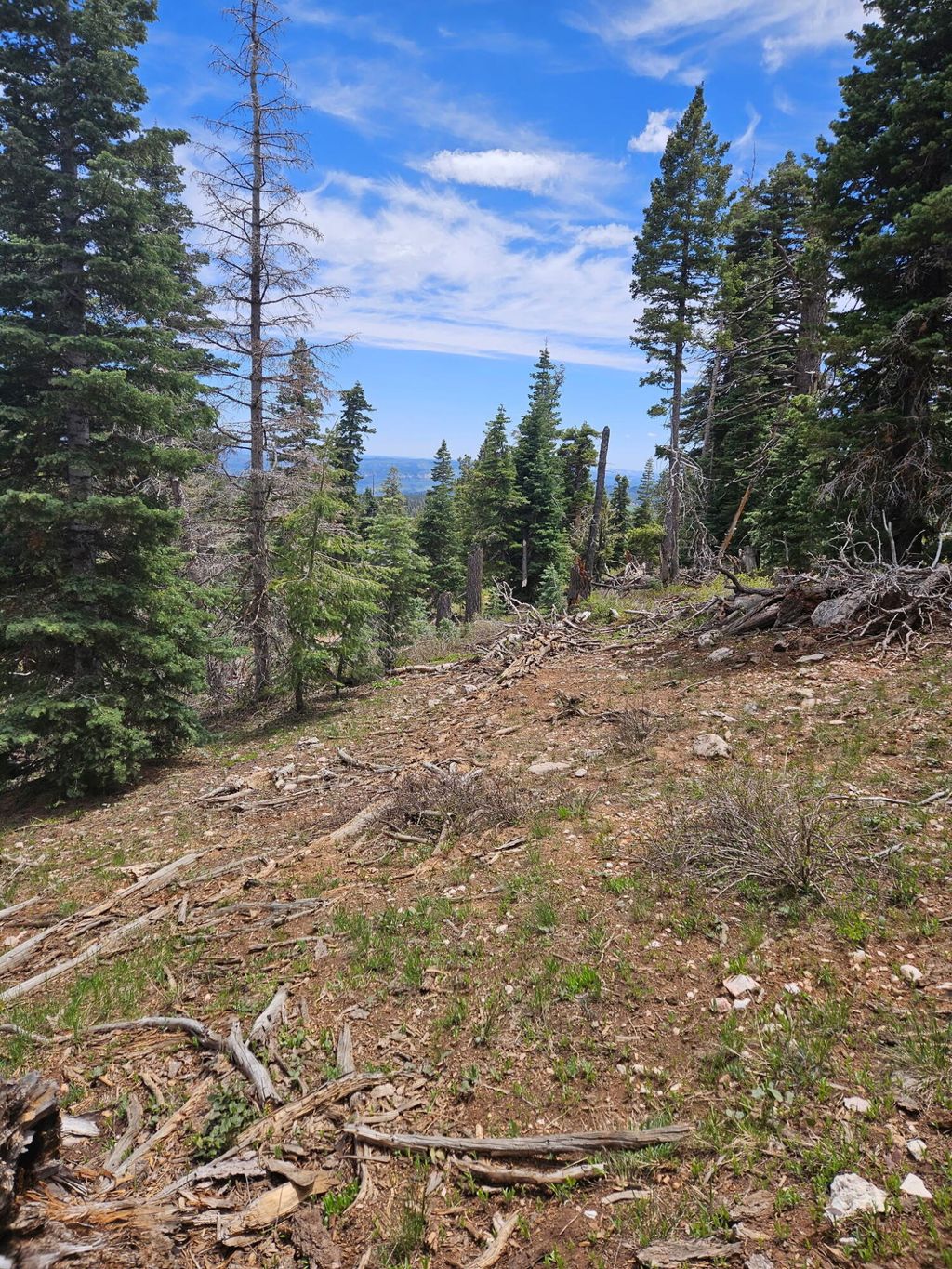 Photo of 6250 W Brook LN, Duck Creek Village, UT 84762 (MLS # 115332)