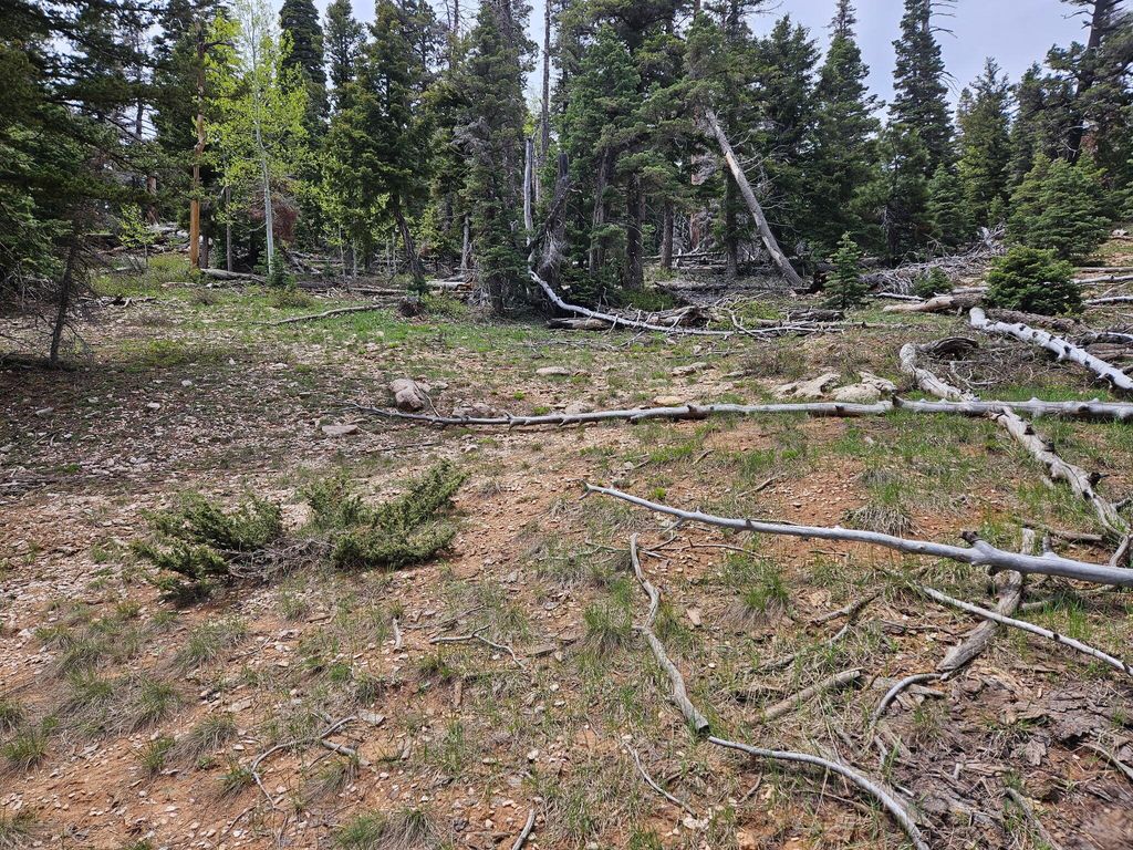 Photo of 6250 W Brook LN, Duck Creek Village, UT 84762 (MLS # 115332)