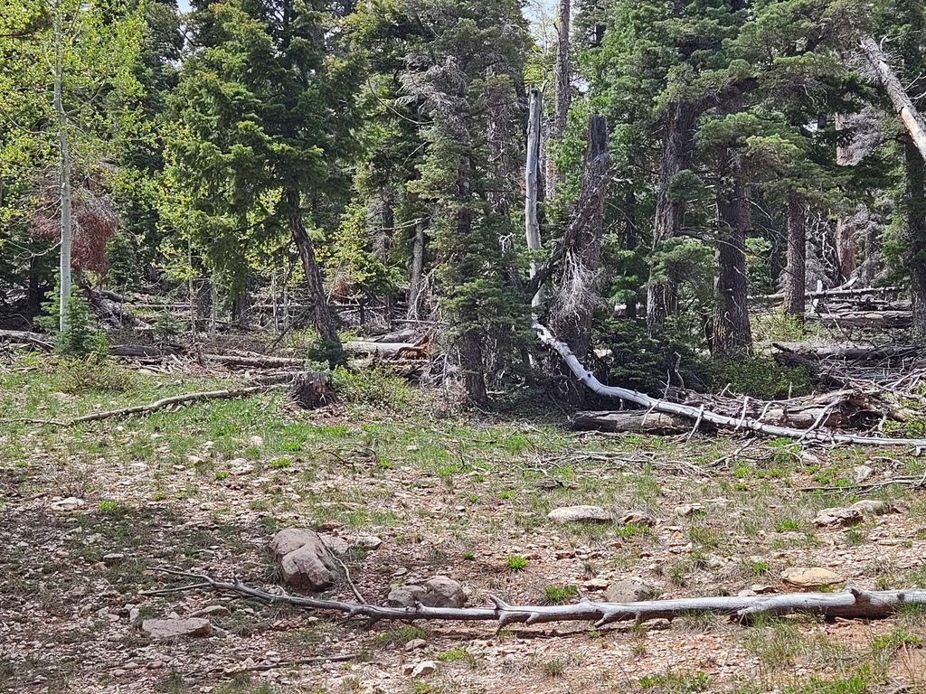 Photo of 6250 W Brook LN, Duck Creek Village, UT 84762 (MLS # 115332)