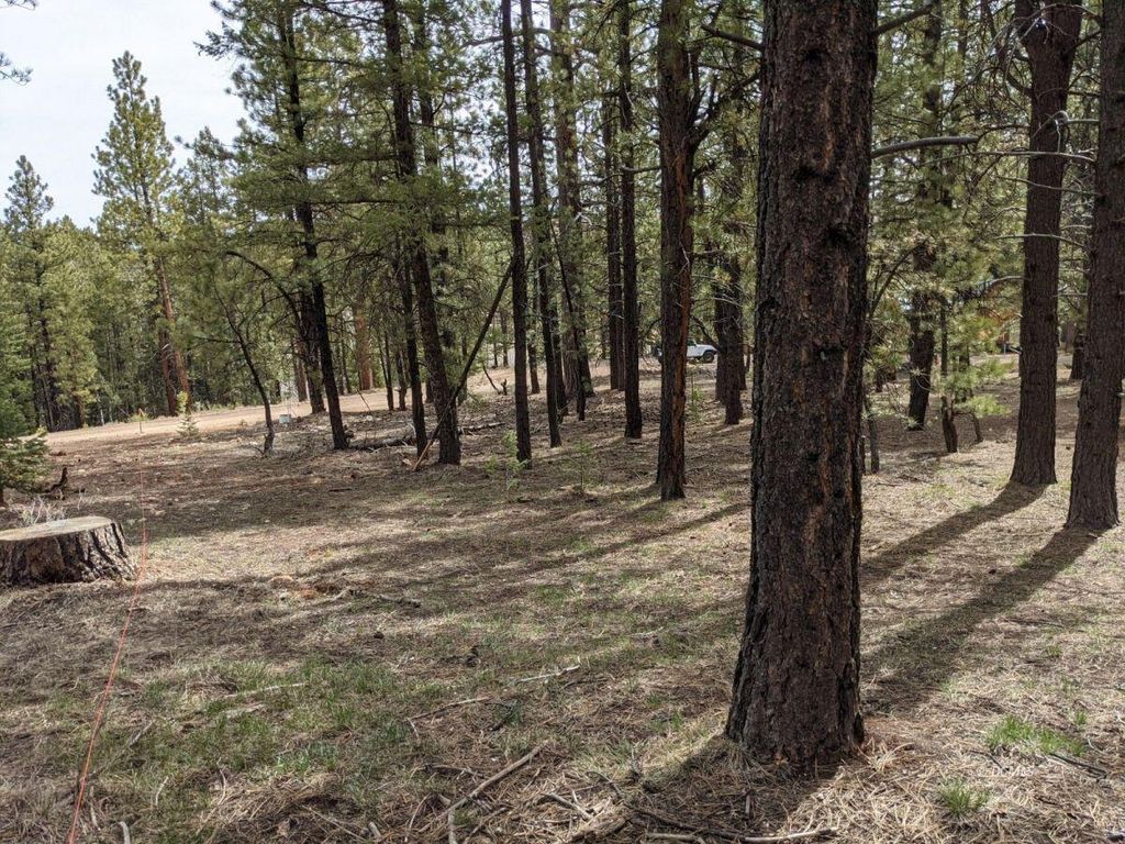 Photo of 695 N Debonair DR, Duck Creek Village, UT 84762 (MLS # 112302)