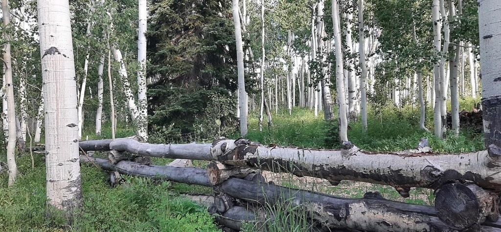 Photo of 1250 W 525 N #GMA unit 1 lots 8 &amp;, Brian Head, UT 84719 (MLS # 115192)