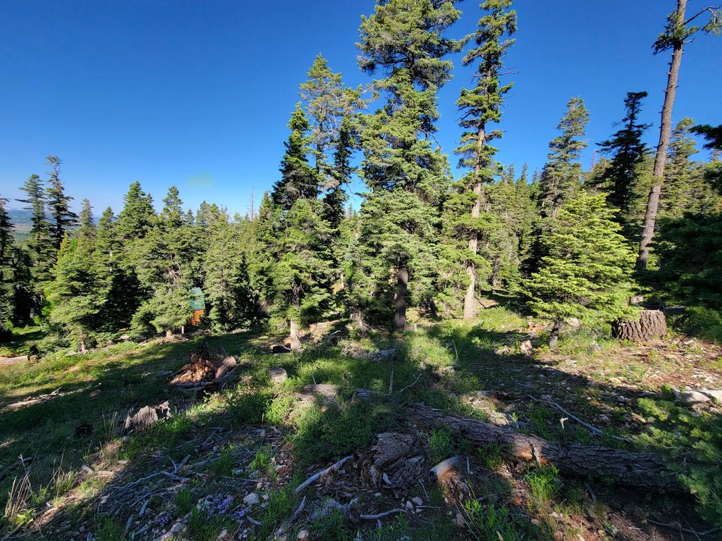Photo of 6220 W Brook LN, Duck Creek Village, UT 84762 (MLS # 111912)