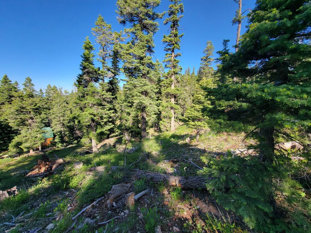 Photo of 6220 W Brook LN, Duck Creek Village, UT 84762 (MLS # 111912)