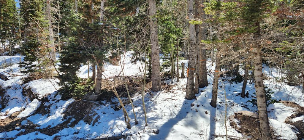 Photo of 653 N HWY 143, Brian Head, UT 84719 (MLS # 115596)