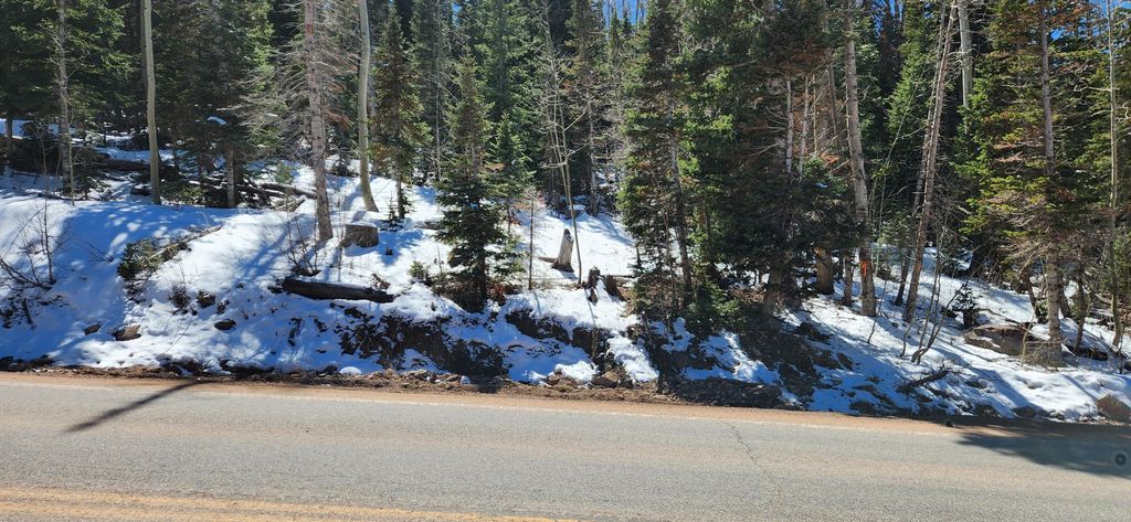 Photo of 653 N HWY 143, Brian Head, UT 84719 (MLS # 115596)