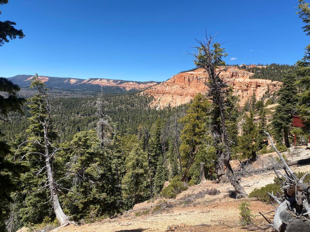 Photo of 1470 W View DR, Duck Creek Village, UT 84762 (MLS # 116051)