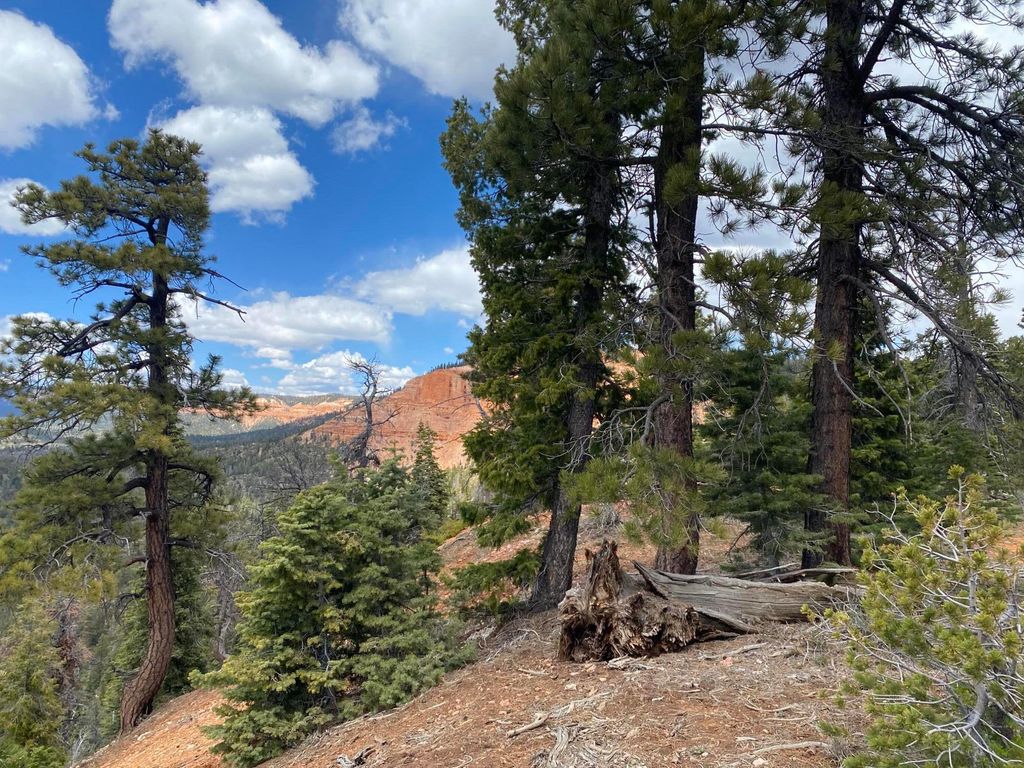Photo of 1470 W View DR, Duck Creek Village, UT 84762 (MLS # 116051)