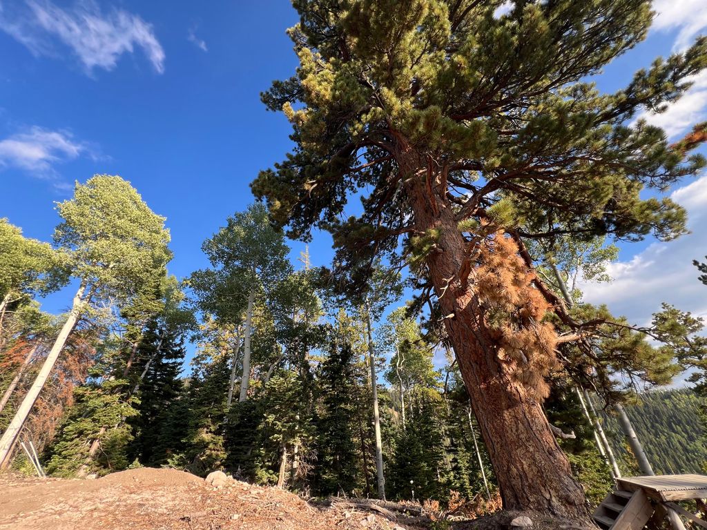 Photo of Ponderosa West Village Lot 134, Beaver, UT 84713 (MLS # 112911)