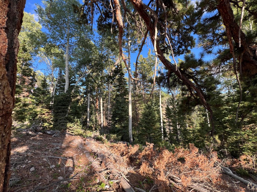 Photo of Ponderosa West Village Lot 134, Beaver, UT 84713 (MLS # 112911)