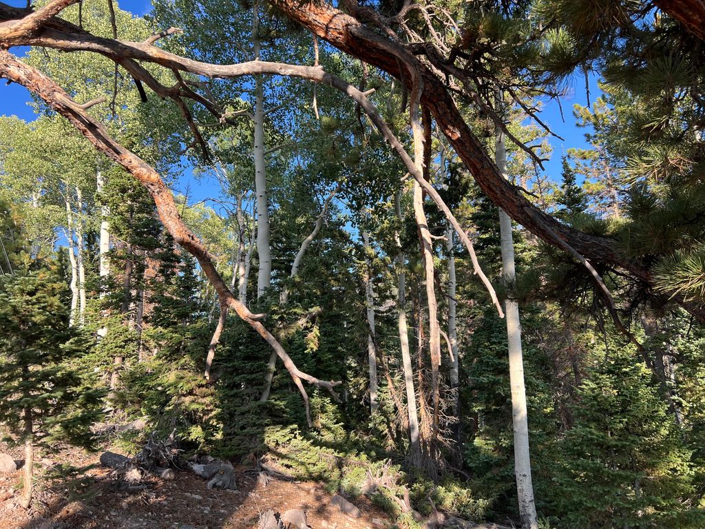 Photo of Ponderosa West Village Lot 134, Beaver, UT 84713 (MLS # 112911)