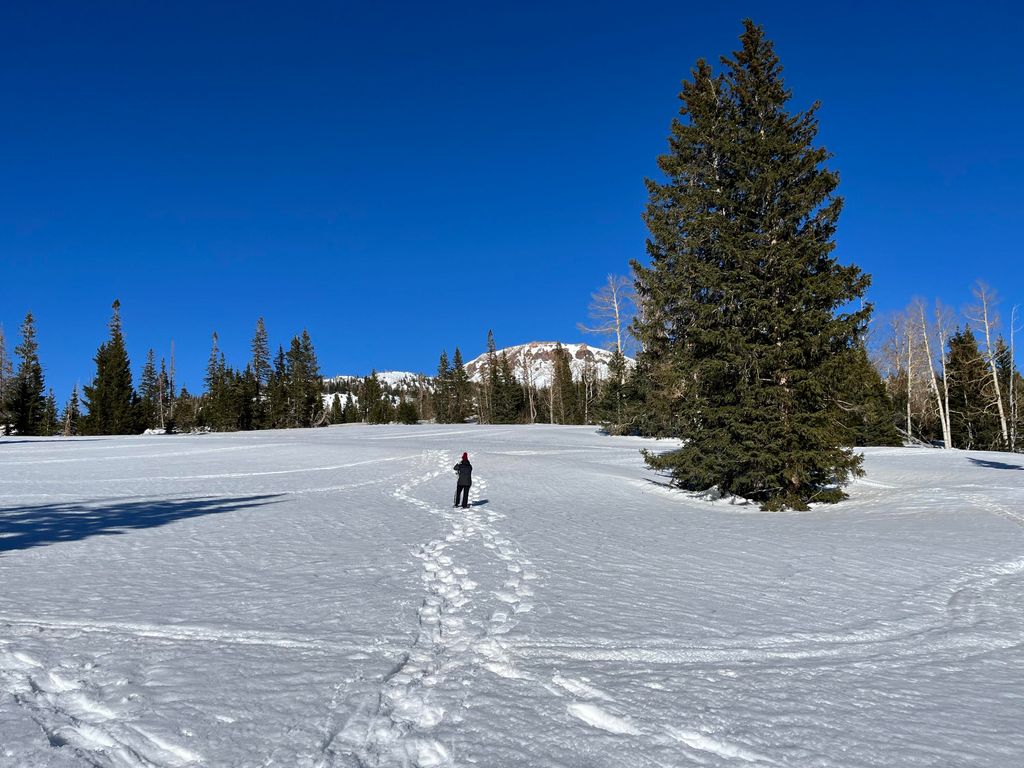 Photo of 167 Zion View Dr. lot 3 Dr, Brian Head, UT 84719 (MLS # 113393)