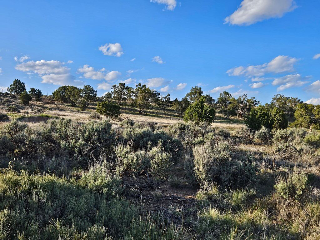 Photo of T29S R7W S4, Beaver, UT 84713 (MLS # 111414)