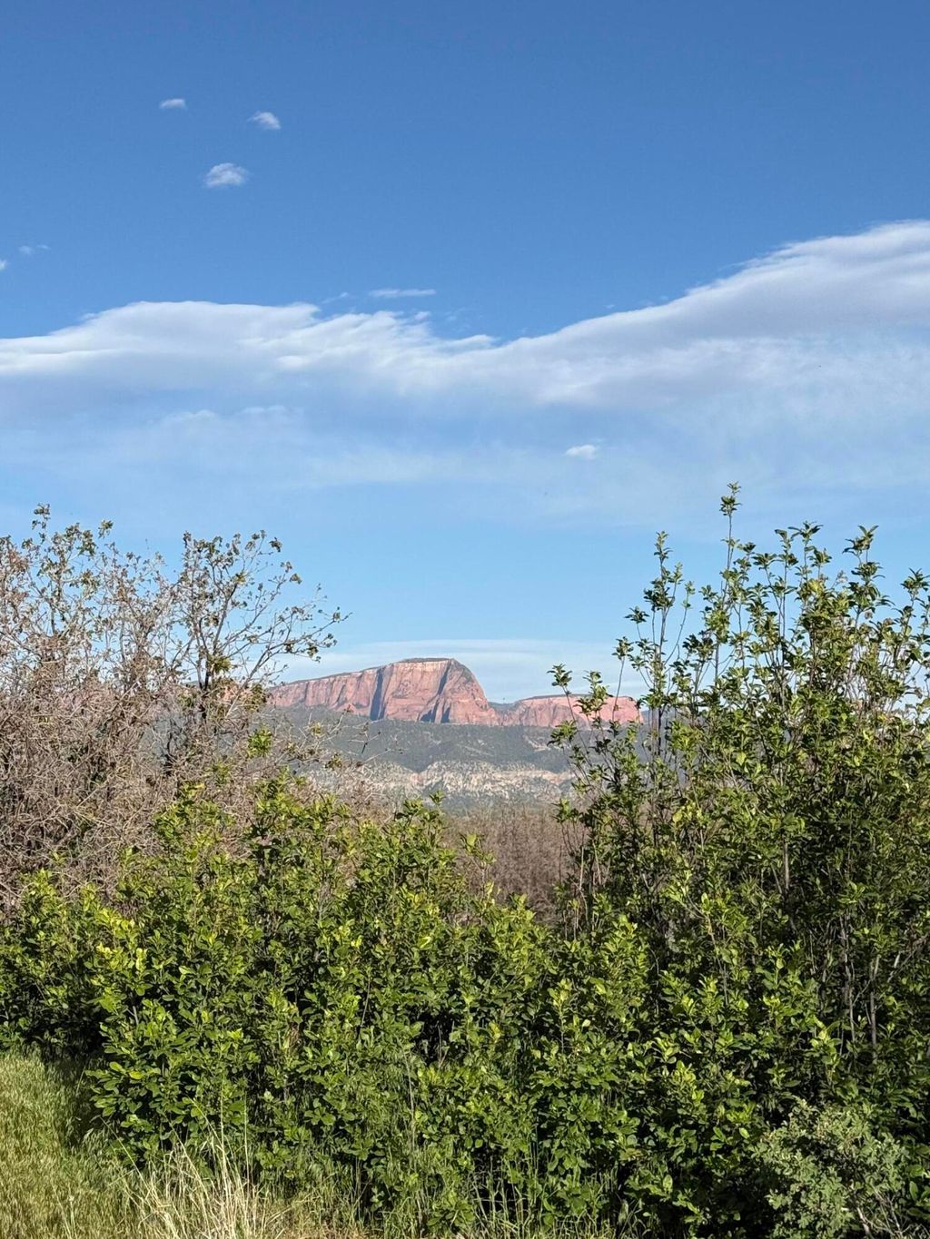 Photo of Land and water rights, New Harmony, UT 84757 (MLS # 116235)
