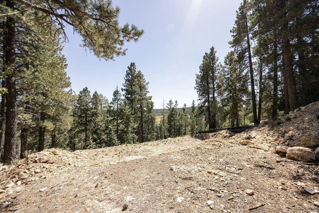 Photo of 910 E Ridge DR, Duck Creek Village, UT 84762 (MLS # 110748)
