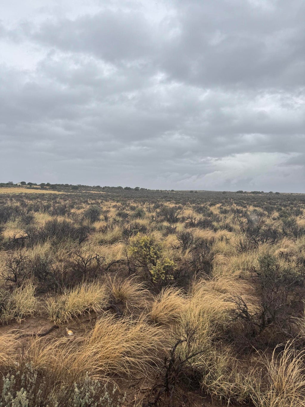 Photo of 6858 N 4000 Ave W, Cedar City, UT 84721 (MLS # 118305)