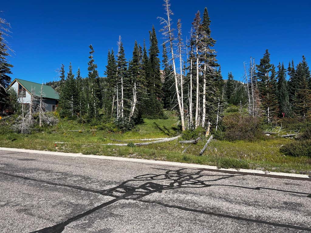 Photo of 1075 S Bristlecone LN, Brian Head, UT 84719 (MLS # 117754)