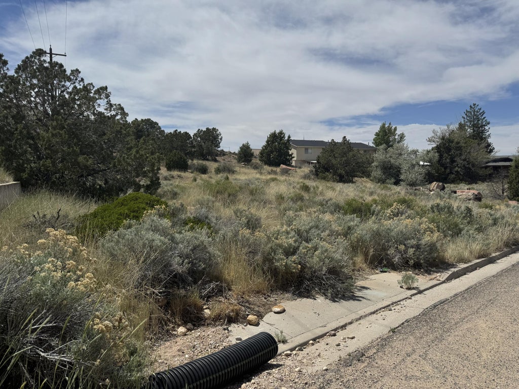 Photo of 53 N Aime Ave, Cedar City, UT 84720 (MLS # 118143)