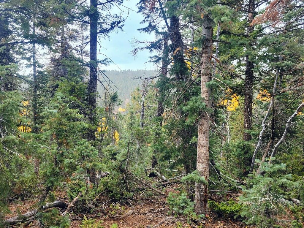 Photo of 45 S Quakie Place, Duck Creek Village, UT 84762 (MLS # 113475)