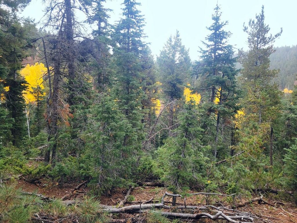 Photo of 45 S Quakie Place, Duck Creek Village, UT 84762 (MLS # 113475)