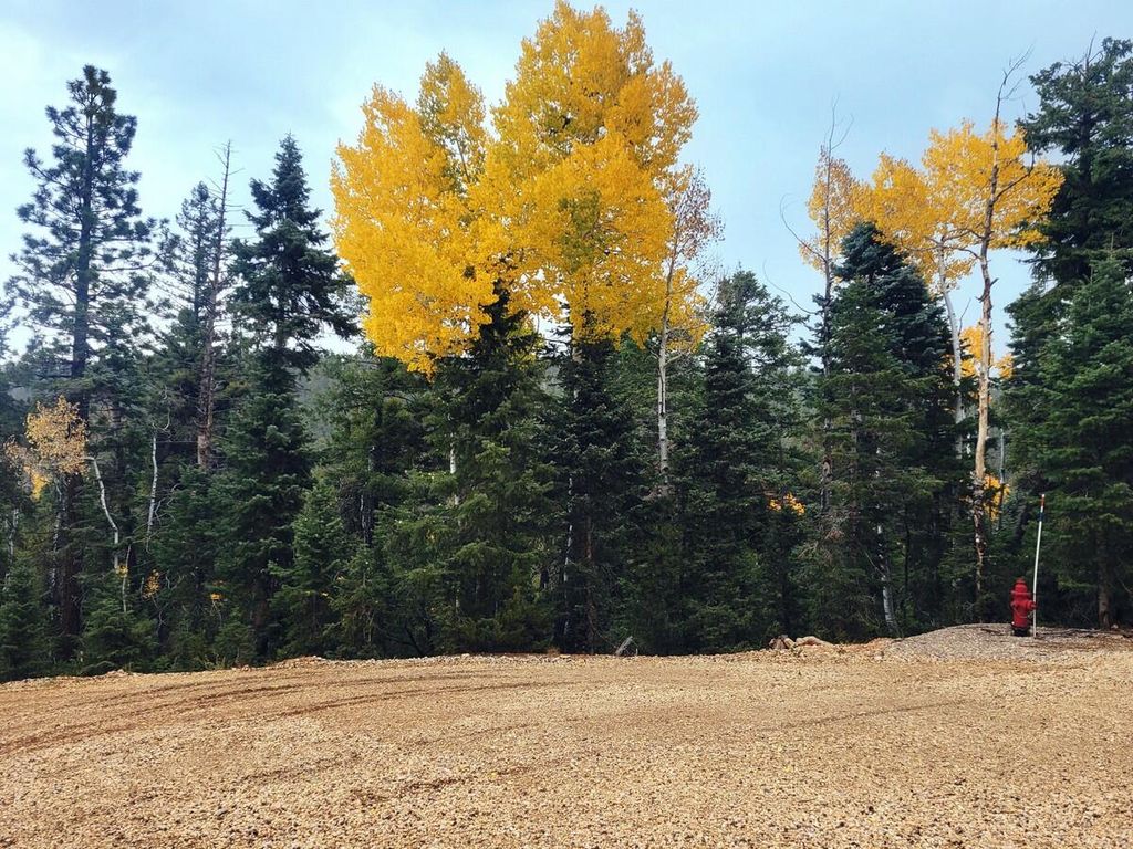 Photo of 45 S Quakie Place, Duck Creek Village, UT 84762 (MLS # 113475)