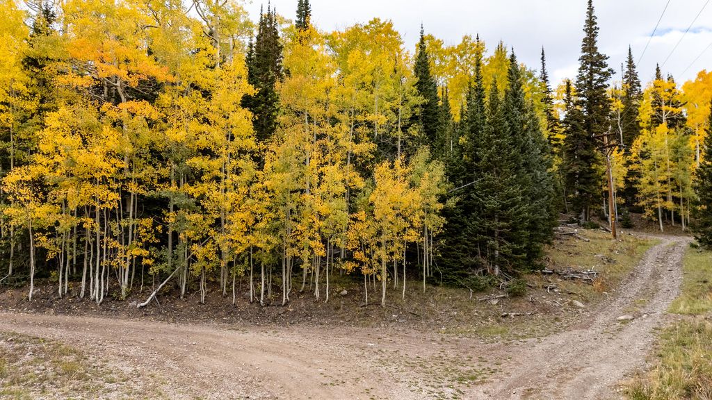 Photo of 754 S Driftwood DR, Brian Head, UT 84719 (MLS # 113292)