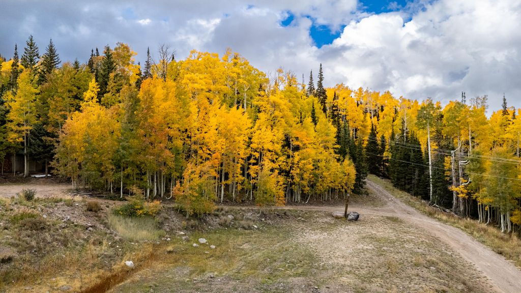 Photo of 754 S Driftwood DR, Brian Head, UT 84719 (MLS # 113292)