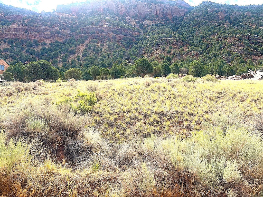 Photo of 1994 N Foothill DR, Paragonah, UT 84760 (MLS # 117750)