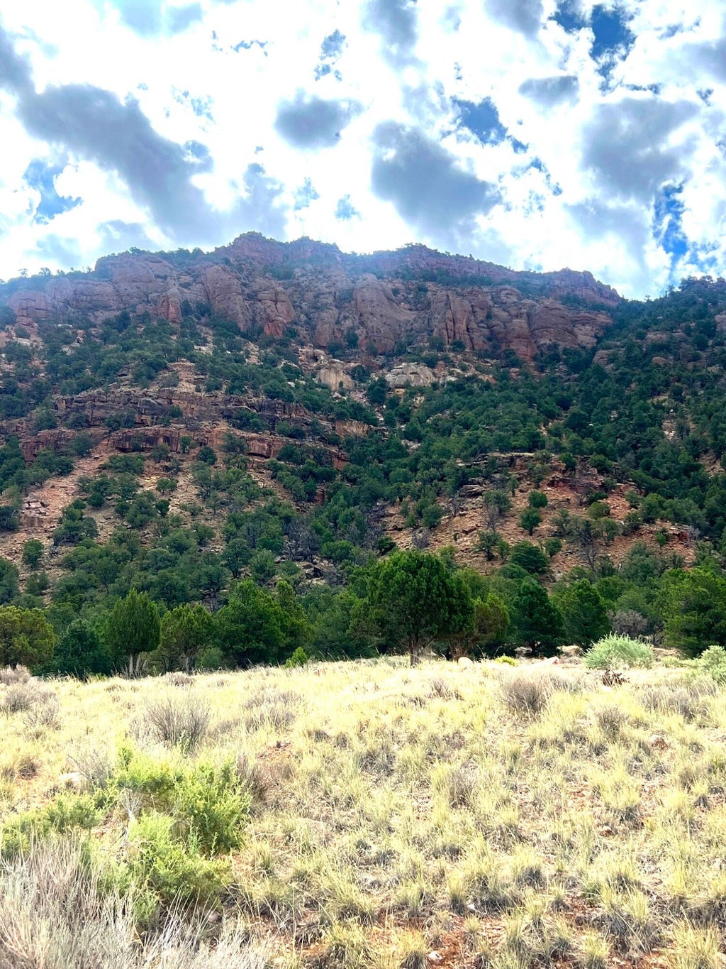 Photo of 1994 N Foothill DR, Paragonah, UT 84760 (MLS # 117750)