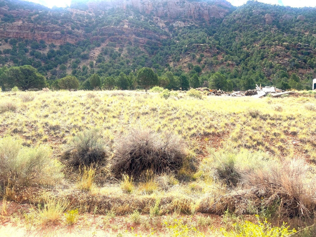 Photo of 1994 N Foothill DR, Paragonah, UT 84760 (MLS # 117750)