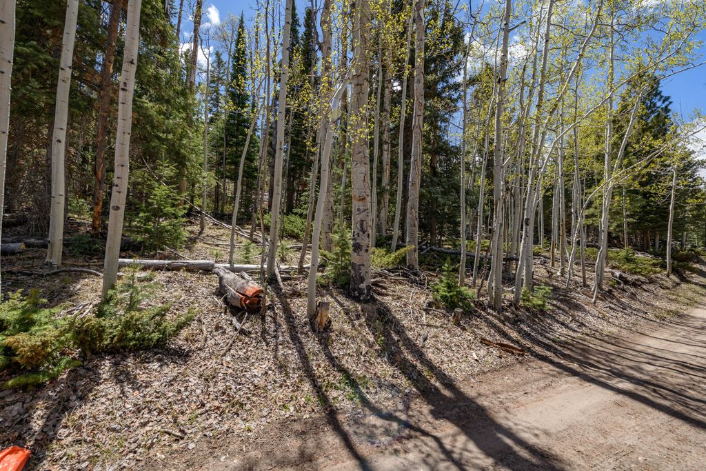 Photo of Clear Creek Estates Lot 17, Panguitch Lake, UT 84759 (MLS # 116434)