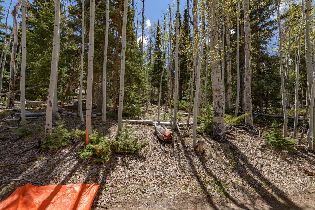 Photo of Clear Creek Estates Lot 17, Panguitch Lake, UT 84759 (MLS # 116434)