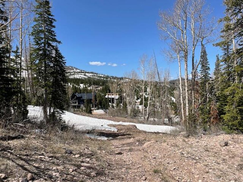 Photo of 1015 E Autumn DR, Brian Head, UT 84719 (MLS # 115412)