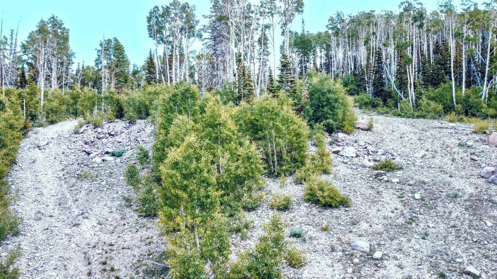 Photo of 1015 E Autumn DR, Brian Head, UT 84719 (MLS # 115412)